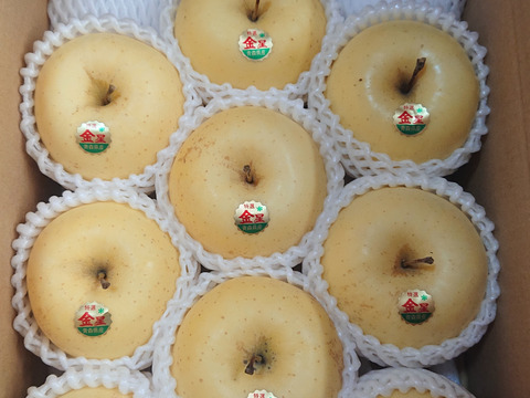 青森県産りんご 「限定１０セット」極み雪完熟大玉金星９個入り