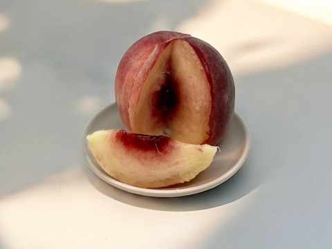 【家庭用】原産地・川中島からお届け「川中島白桃」3㎏（8～11玉）