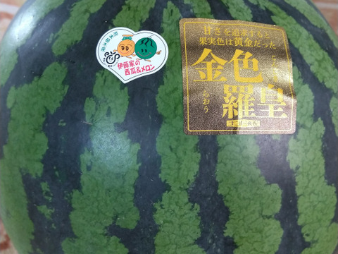 驚きの値段での商品をすべて 熊本植木産 西瓜の王者【金色羅皇】：熊本県産の金色羅皇｜食べ 果物