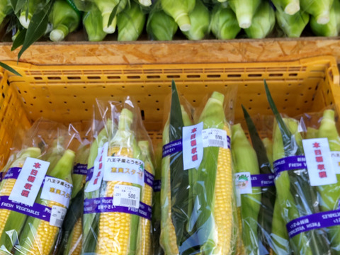 5 朝採り収穫日発送 東京都八王子産 とうもろこし黄色いトウモロコシ