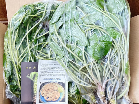 葉ﾜｻﾋﾞ【１kg前後】訳ｱﾘ,お得,お試し,おまかせ