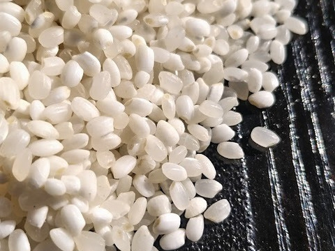 【新米】農薬化学肥料不使用　信州伊那谷★満月もち(白米)・2025年産 10㎏