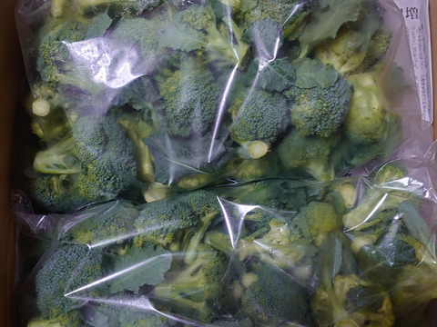ブロッコリー採りたて新鮮！〈約2,800g〉