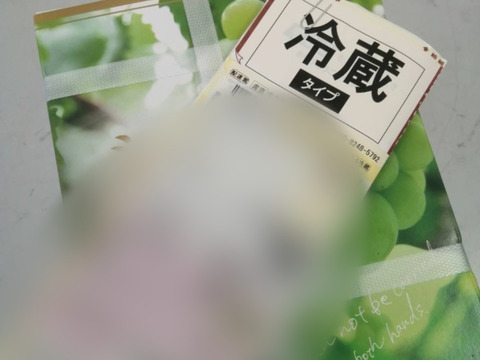 贈答用
岡山県産最高級ブドウ 2房（シャインマスカット） 約1キロ数量限定