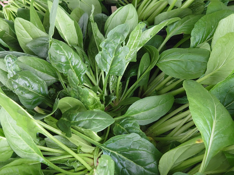 平沢農場自慢の葉物根菜セット（7品目）