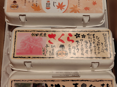 【初回限定】新鮮たまご詰め合わせセット