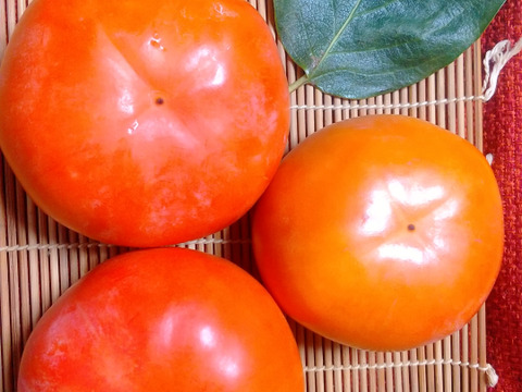 【希少】九度山の富有柿(２Ｌ以上の大玉１１～１３個入り) (３kg)【除草剤不使用】【糖度１５度以上】