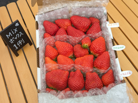 🍓園主おまかせ🐝　＊。+・ミックスボックス・+。＊約７００ｇ