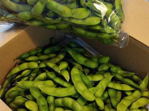 大宜津比売(食物の神様)の国からお届け
阿波黒枝豆(大黒豆) 期間限定商品