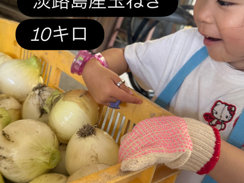 【訳あり】旬の淡路島玉ねぎ！10キロ