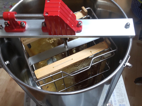 R7.秋の新蜜　西洋蜜蜂のはちみつ
大阪産　キウイ畑の生はちみつ