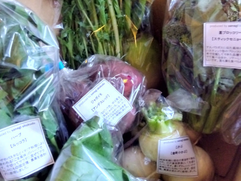 採れたて！季節の野菜セットSサイズ(固定種野菜・農薬不使用)