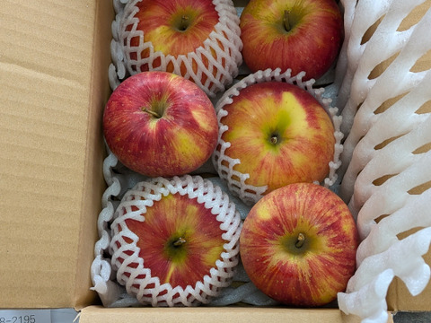 信州りんご🍎少量約1.5キロ(6～8個)