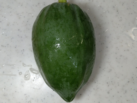 北関東から青パパイヤをお届けします‼1kg
こだわりの生産のため生産量が限られてます
 (下処理の仕方と簡単なレシピを同封いたします）