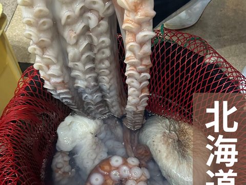 【インパクト大！】北海道白老産　活茹で水だこ（足）1.4㎏1本【2等分真空加工】