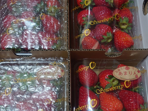 あまりん 小粒 250g×4パック