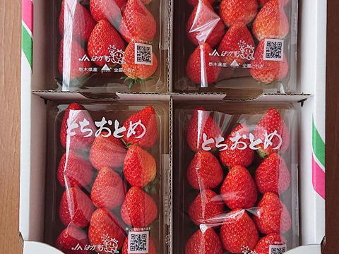 とちおとめグランデ（形不揃い）Lサイズ品