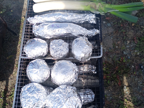 香りと甘さ！極太寒締め長ネギ3kg