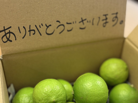 香り・果汁爆発！瀬戸内海の『ライム』