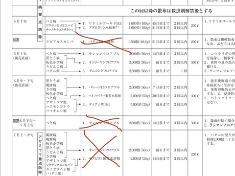 家庭用訳ありナガノパープル　1.2キロ2-4房入　農薬半減栽培　ぶどう
