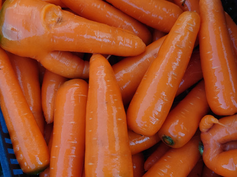 平沢農場自慢の葉物根菜セット（7品目）