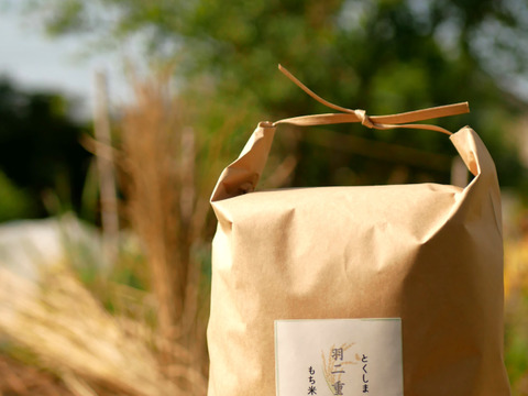 2023年新米！【自然栽培のお米】お餅をするなら、日本で一番のもち米「羽二重糯はぶたえもち」3kg（2升）★玄米・白米・５分づき米選べます★