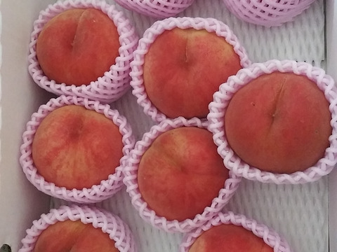 🍑あま～い桃　あかつき　約3kg　8～14玉【ASIAGAP認証農場：津軽農園】8月上旬　採れたて農家直送　夏ギフト　お中元【朝どれ】