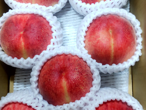 【べにみなみ２ｋｇ】糖度18°前後。 硬くて超甘い高糖度な桃、約２ｋｇ