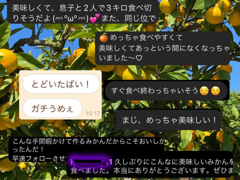 【お買い得】※訳ありみかん　20キロ