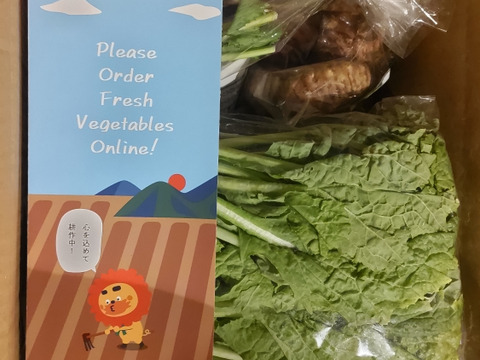 2〜4名様向け野菜セット／野菜6種＋加工品