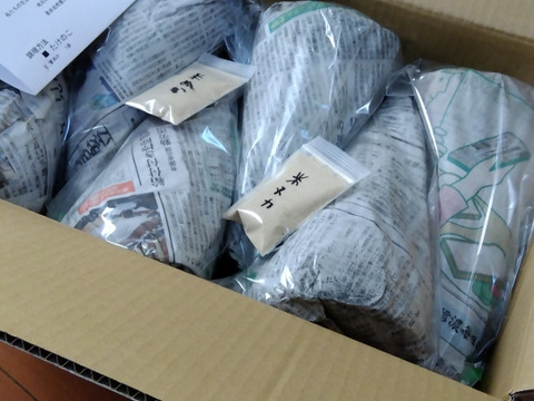 朝採りタケノコはいかがでしょうか？5.5kg