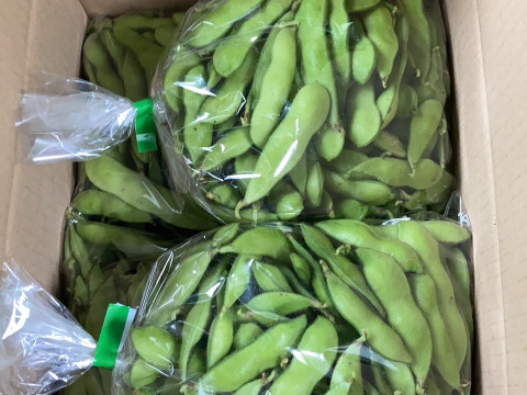 JAS認定　枝豆400g✖️4袋（1.６キロ）