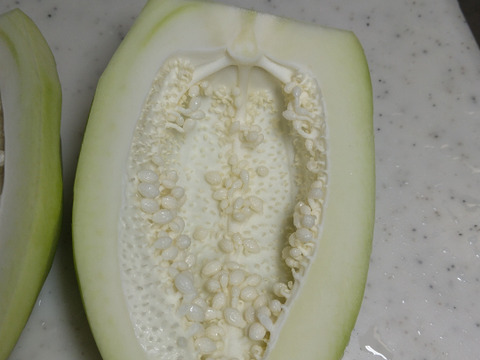 北関東から青パパイヤをお届けします‼1kg
こだわりの生産のため生産量が限られてます
 (下処理の仕方と簡単なレシピを同封いたします）