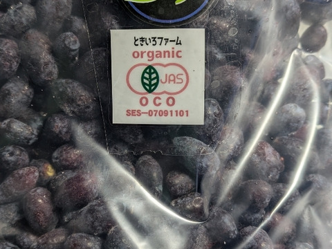 【有機JAS取得】2025年産　爽やかな酸味でスッキリ‼北海道十勝産冷凍ハスカップ（サイズ大小混合・1kg）