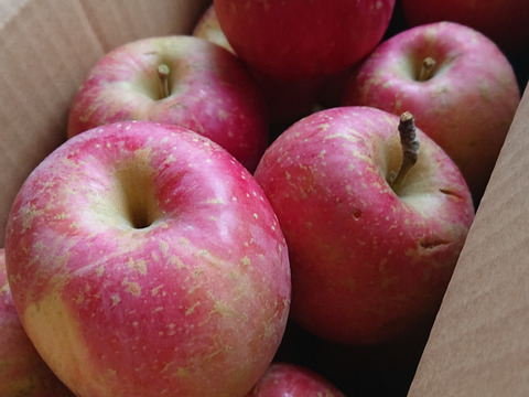 【大特価！🍎訳あり・サンふじ】  4㎏ (サイズミックス 17～20個)