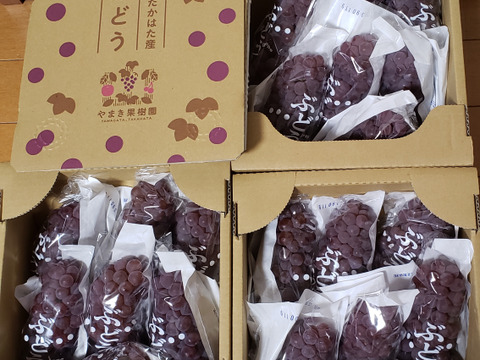 葉っぱさん注文3箱『山形高畠産デラウェア』（6房〜8房）