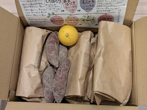 【3種食べ比べ・5kg】南国高知のサツマイモ