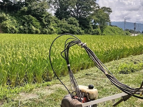 【新米】農薬化学肥料不使用　信州伊那谷★コシヒカリ(白米)2025年産・10㎏