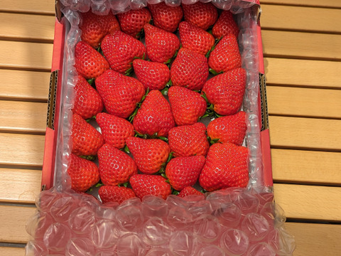 ❤口いっぱいにあふれる果汁❤ いちごさん 約７００ｇ🍓