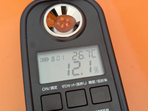 栽培期間中農薬・化学肥料不使用♪ミニトマト・フルーツトマト『プチぷよ』800g