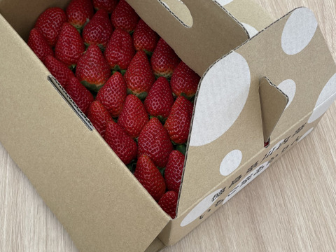 徳島県産『さちのか』おまかせハコいちご