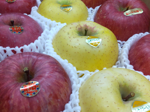 赤と黄色の2品種セット！やまたか農園の「サンふじ」と「シナノゴールド」 (秀品) 内容量3㎏