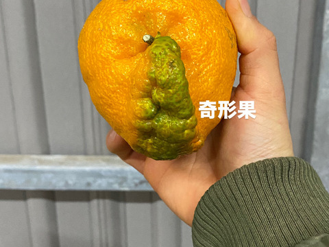 【大特価】加工用デコ　9キロ