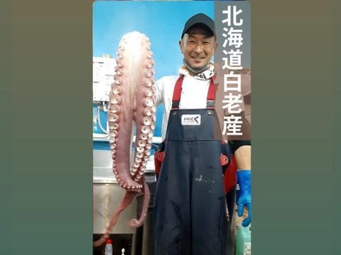 数量限定！食べ比べ　北海道白老産　たこぶつぎり+たこ頭　お試しにピッタリ！