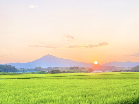 【あざらし様専用】玄米30kg