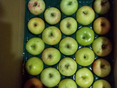 ＜限定出品＞小玉につき格安　星の金貨　約4.5キロパック