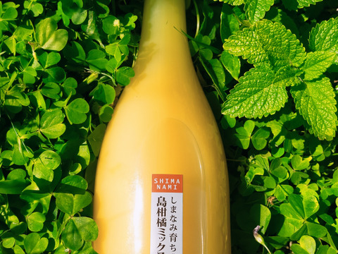 神の島育ちの自然な柑橘MIXジュース（720ml×4本）