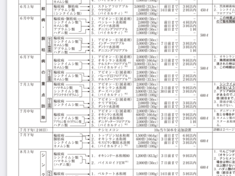 超農薬削減栽培6回のみ　訳あり小玉丸かじりラフランス 箱込4キロバラ詰め！　安心安全に丸かじり！