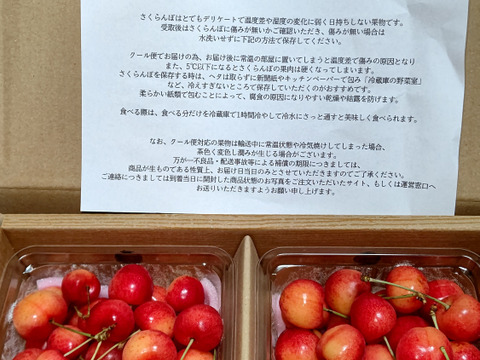 【さくらんぼ最高糖度賞受賞園地】紅てまり　訳1kg