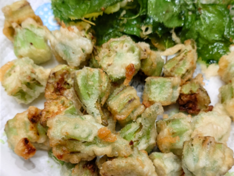 熊本県産　角オクラ,ダビデの星★食べくらべセット（角オクラ24本,ダビデの星8本入り）